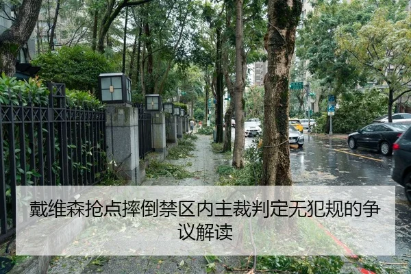 戴维森抢点摔倒禁区内主裁判定无犯规的争议解读