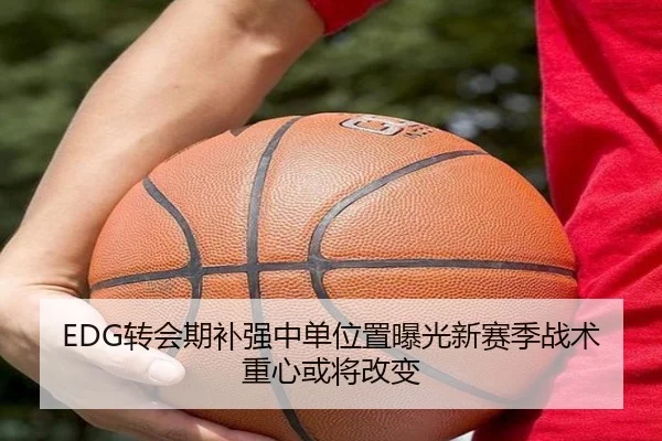 EDG转会期补强中单位置曝光新赛季战术重心或将改变